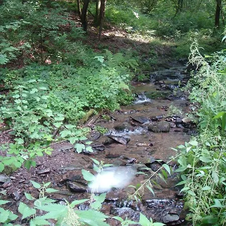 Haus Eifelinchen アパート *