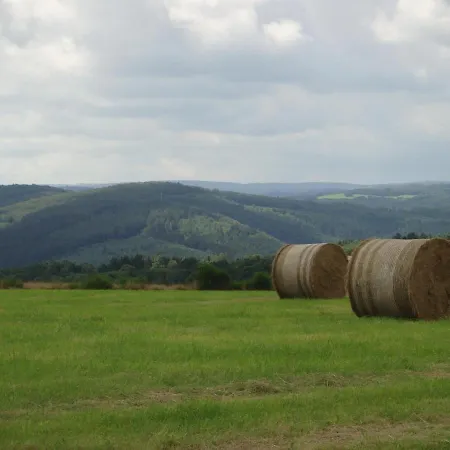 Haus Eifelinchen Lägenhet
