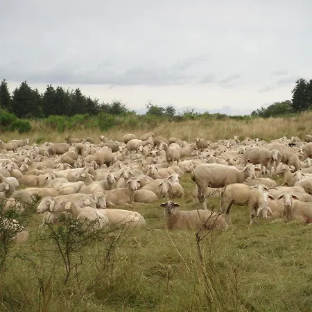 Haus Eifelinchen * Schleiden