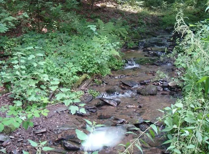 Haus Eifelinchen Lägenhet *