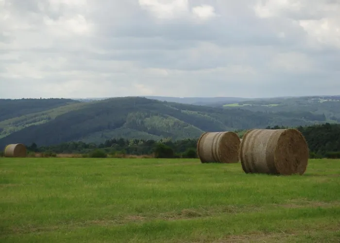 Haus Eifelinchen Διαμέρισμα