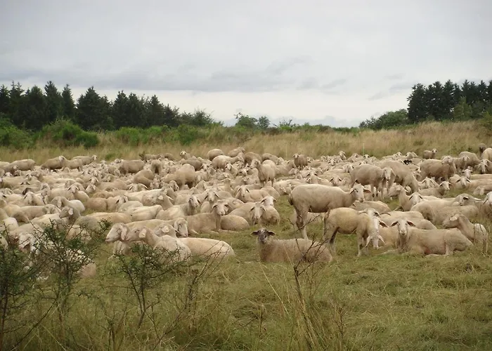 Haus Eifelinchen * Schleiden